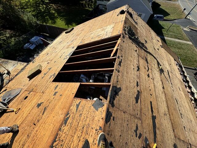 Bad Plywood Is Removed