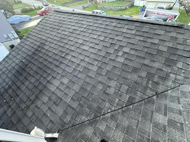 Before: Moss & Algae