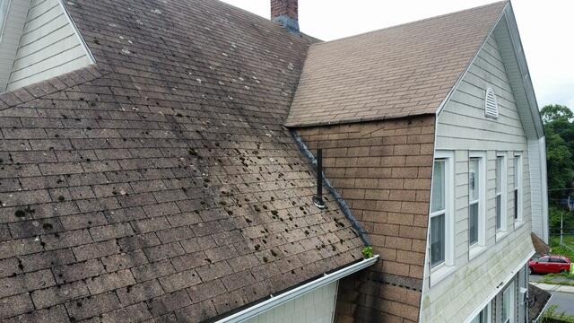 Before: Moss & Algae World