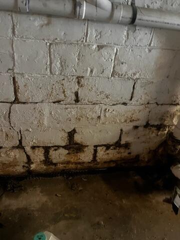 Wet Basement