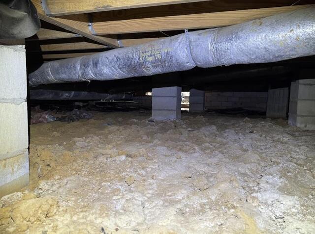 Pearl Crawl Space Before - 4
