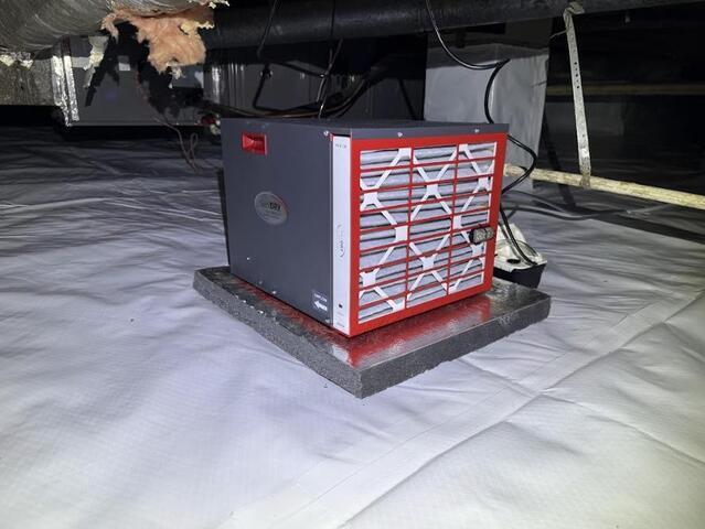 Pearl Crawl Space - Dehumidifier