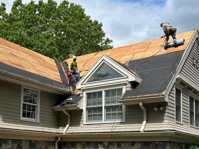 The Decking Is Examined