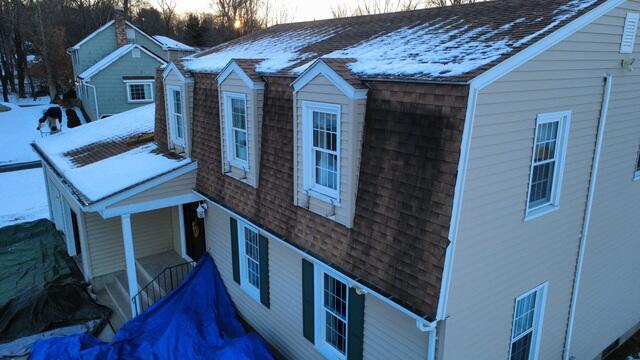 Before: Algae Growth