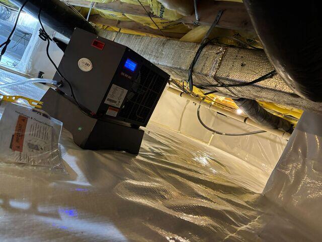 Dehumidifier