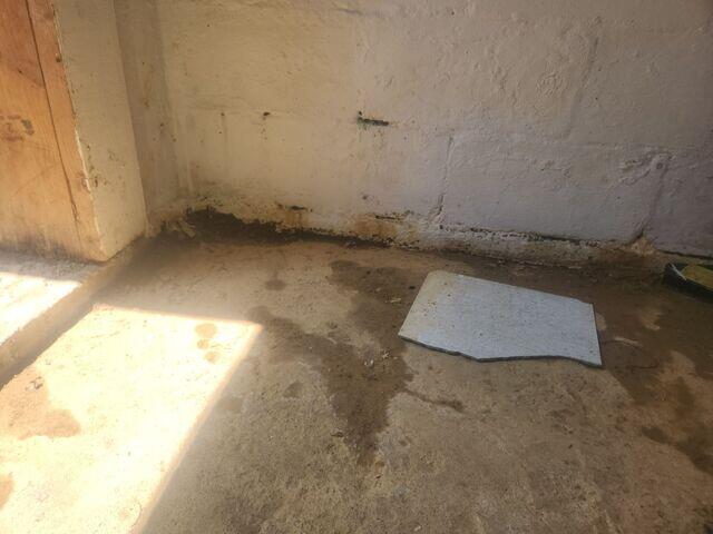 Damp Basement