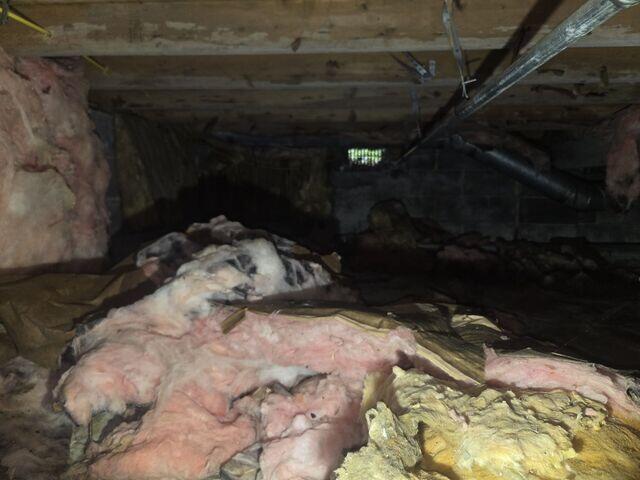 Crawl Space