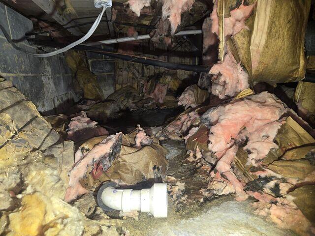 Damaged Insulation