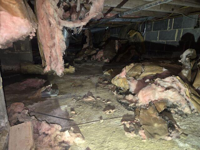 Damp Crawl Space