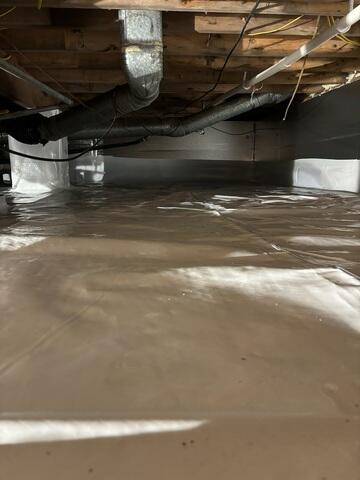 CleanSpace