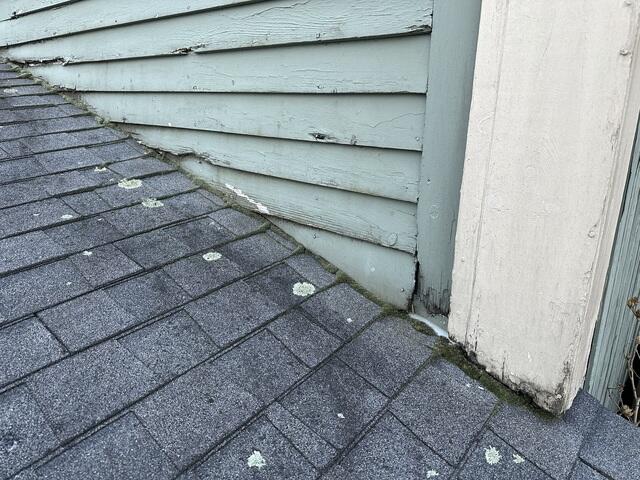 Before: Moss Madness