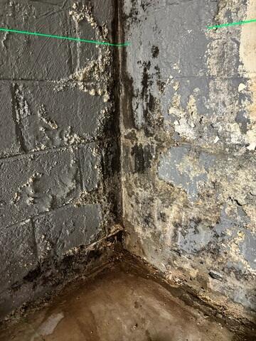 Early Signs Of Water Damage