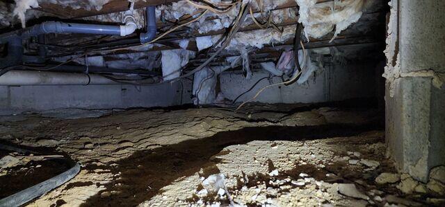 Crawl Space