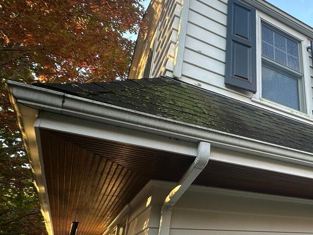 Before: Mossy