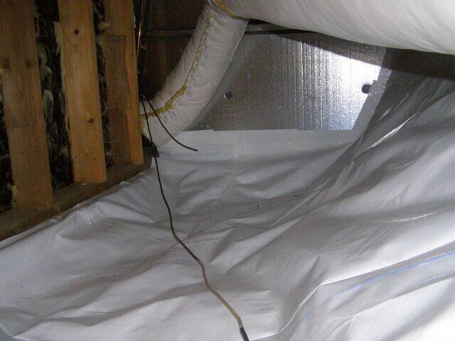 CleanSpace Liner