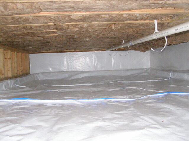 CleanSpace
