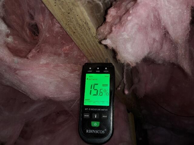 Moisture Level Upon Inspection