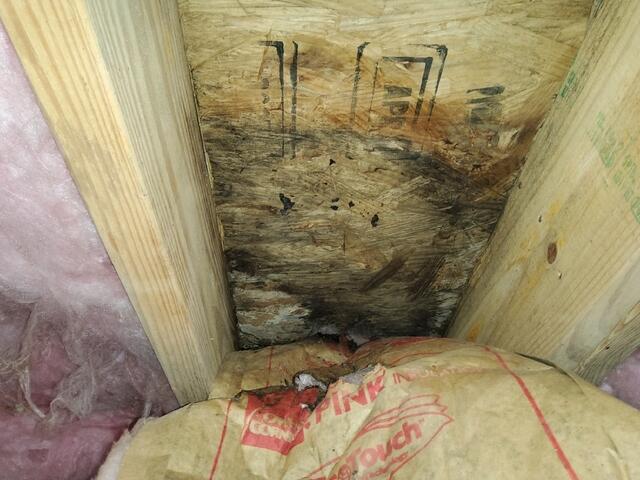 Subfloor Damage Found