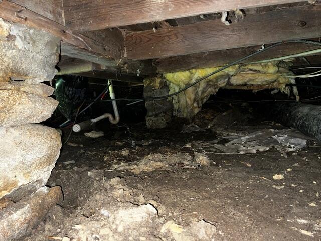 Moisture Damaged Floor Joists