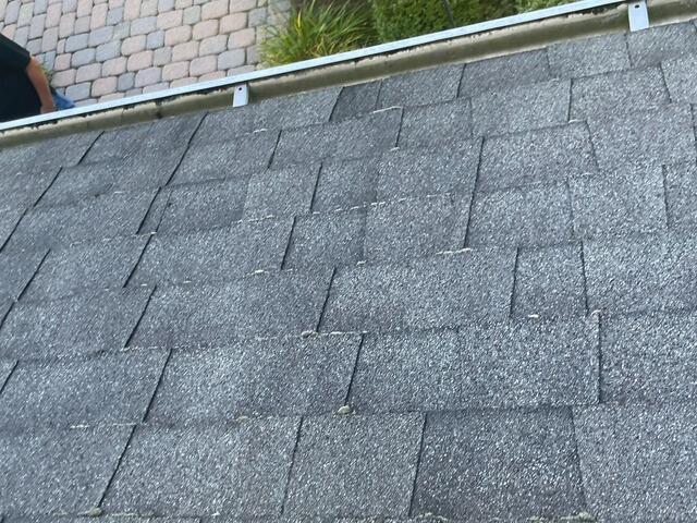 Before: Mossy Shingles