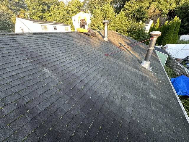 Before: Mossy Mania
