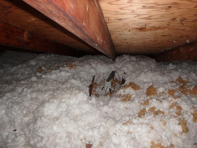 Old and Dirty Attic Insulation