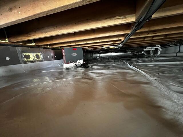 Dehumidifier