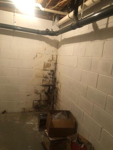 Signs Of Basement Water Seepage