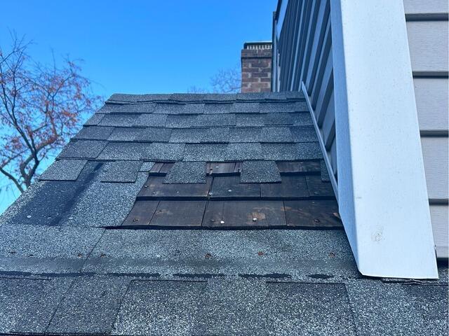 Before: Fallen Shingles