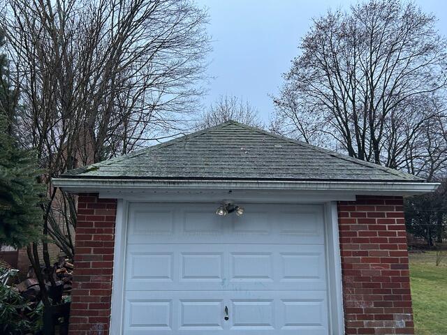 Before: Shed