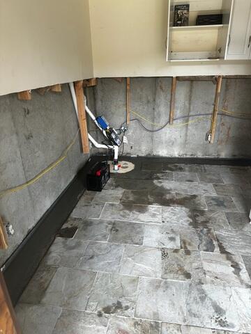 TripleSafe sump pump