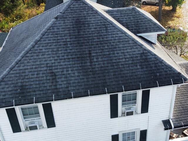 Before: Algae & Lichen