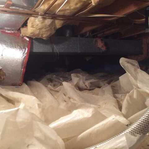 Crawl Space