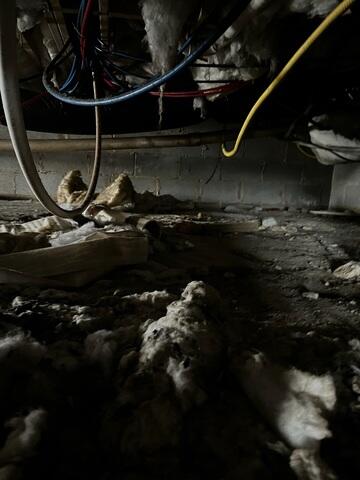 Damp Crawl Space