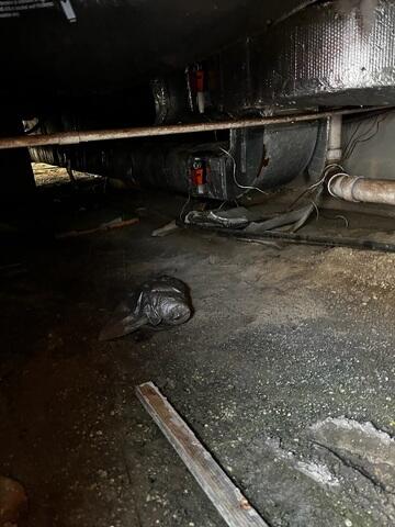 Crawl Space