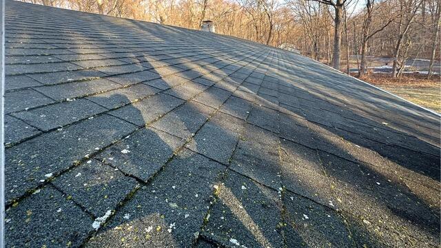 Before: Moss & Lichen