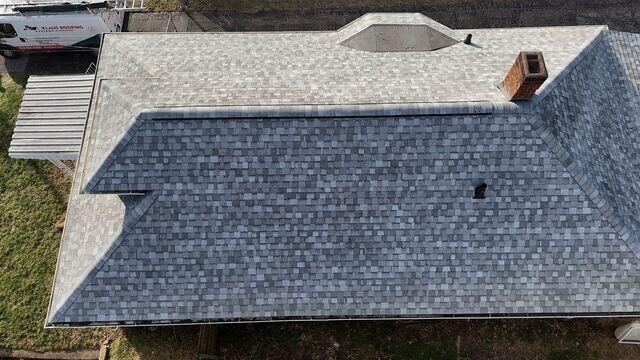 Shingles Close Up