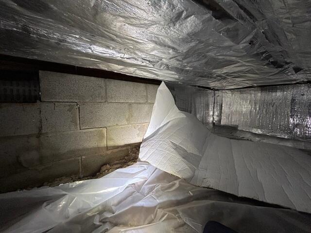 Hidden Beneath The Insulation