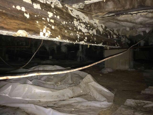 Crawl Space