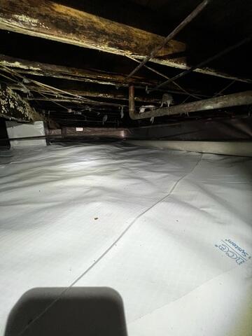 Vapor Barrier