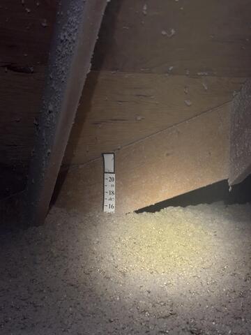Even Layer of Cellulose