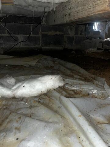 Nasty Crawl Space