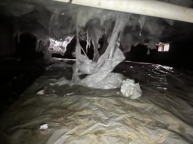 Wet Crawl Space