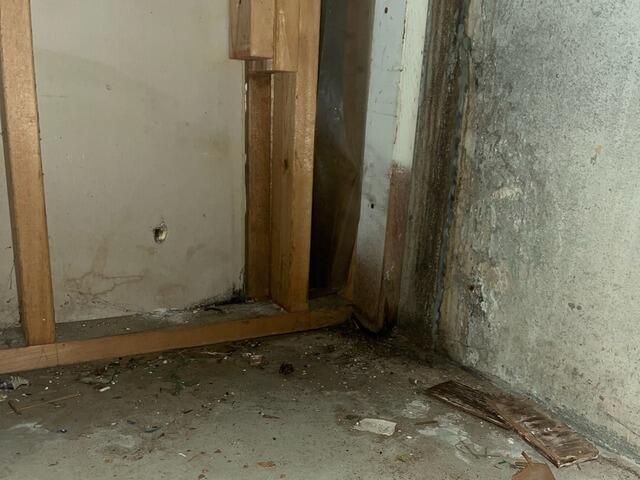 Leaking Basement