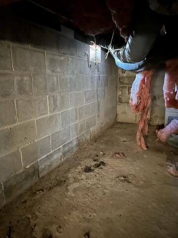 Crawl Space