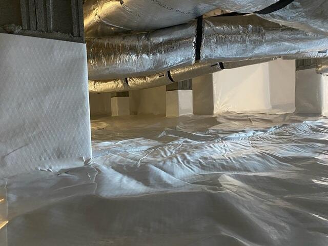 CleanSpace