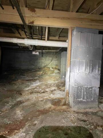 Before Sealing Crawl Space