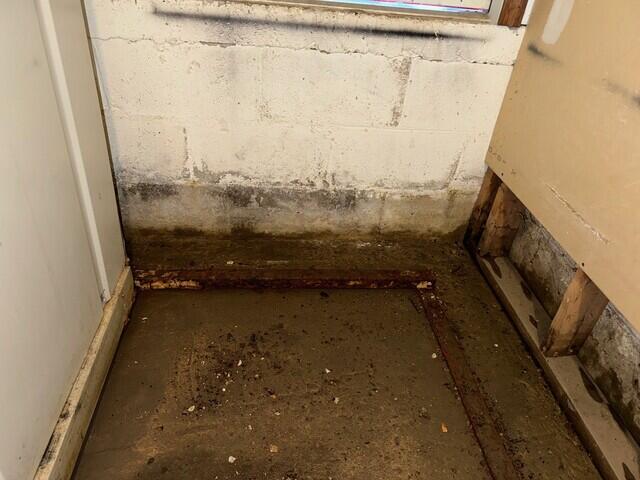 Wet Basement