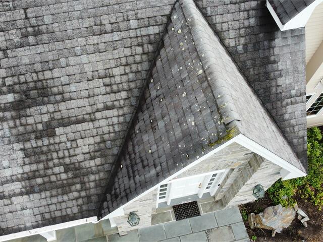 The House Before: Moss & Algae