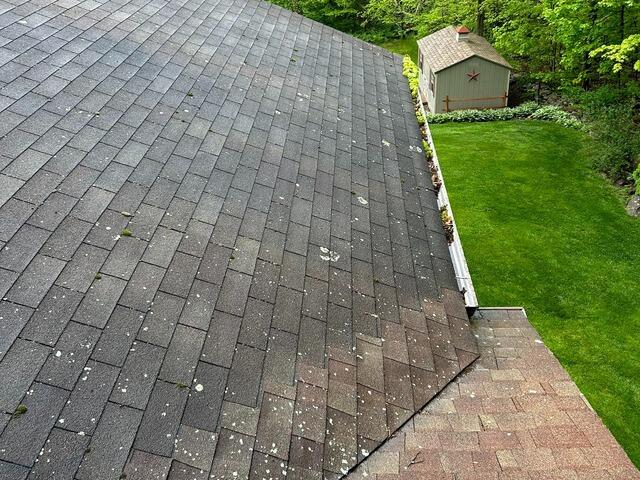 Before: Lichen & Moss